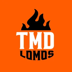 1tmds